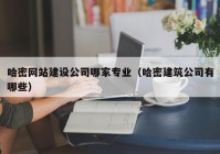 哈密网站建设公司哪家专业（哈密建筑公司有哪些）